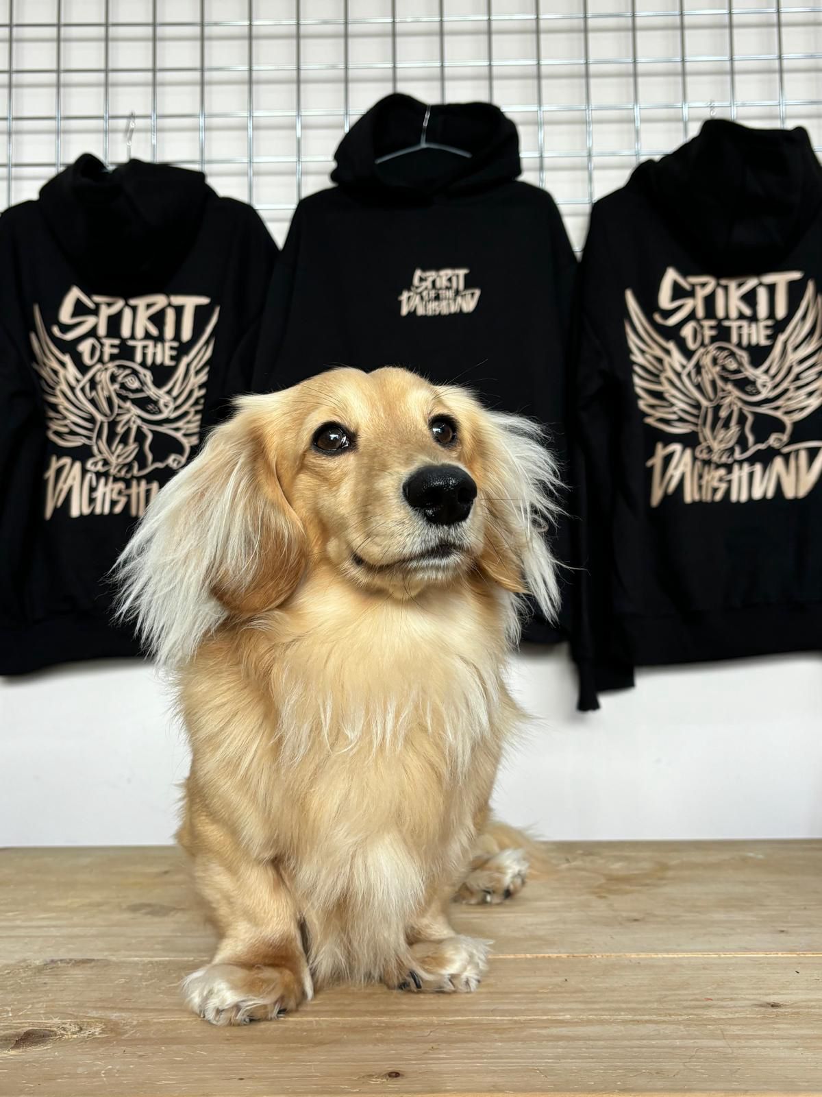 Spirit Of The Dachshund Signature Hoodie