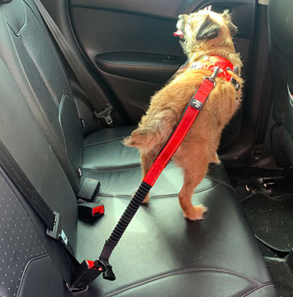 6-IN-1 Multi Function Lead with Anti-jar Bungee