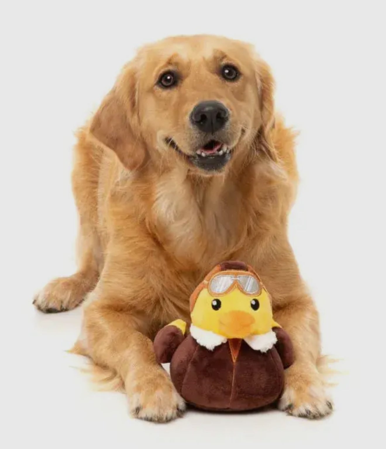 Amelia Quackhart - Dog Toy