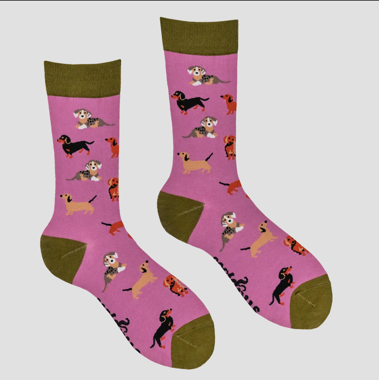 Sausage Dog Socks - Dasching Around
