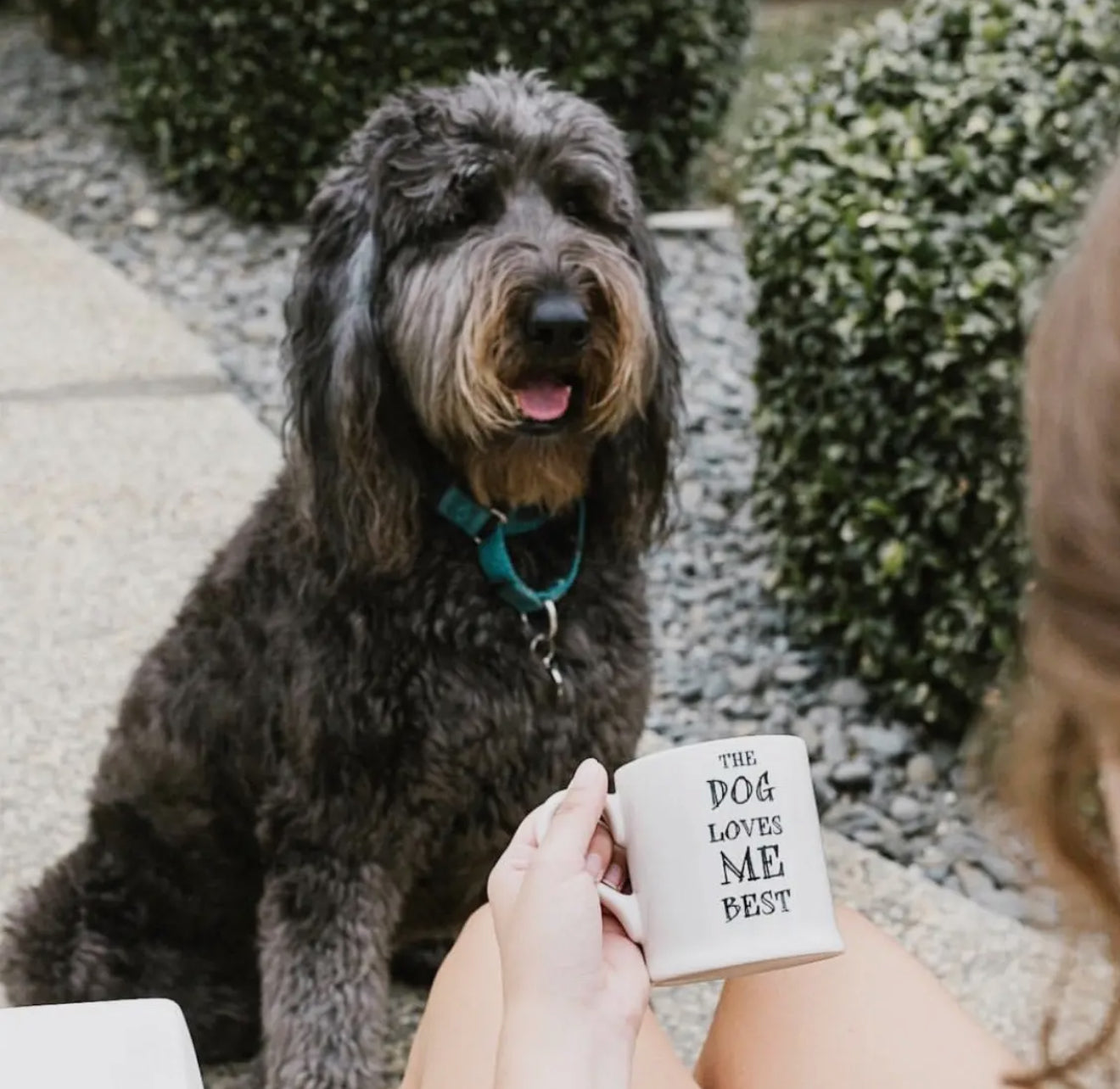 Slogan Mug - Dog Loves Me Best