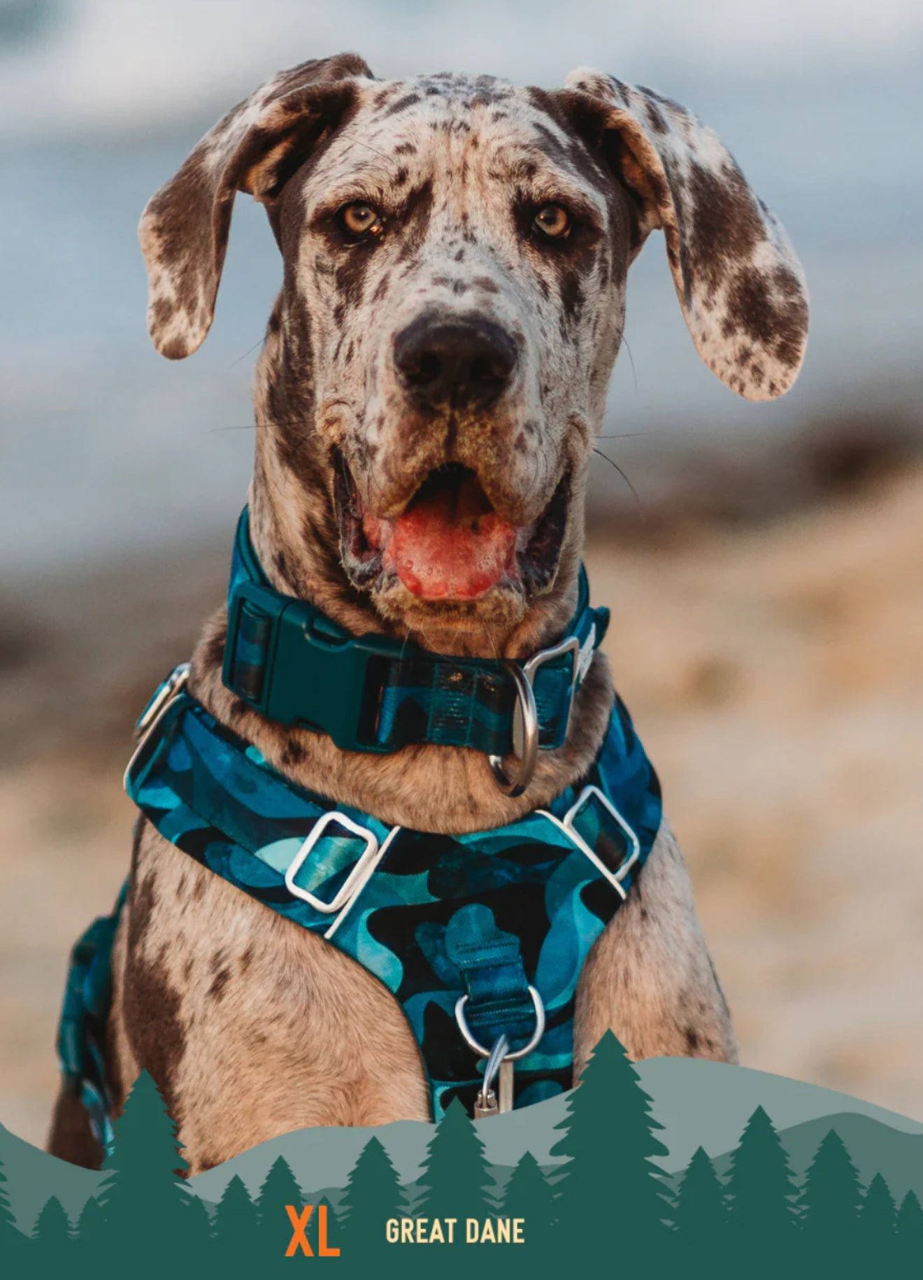 Lagoon Comfort Collar