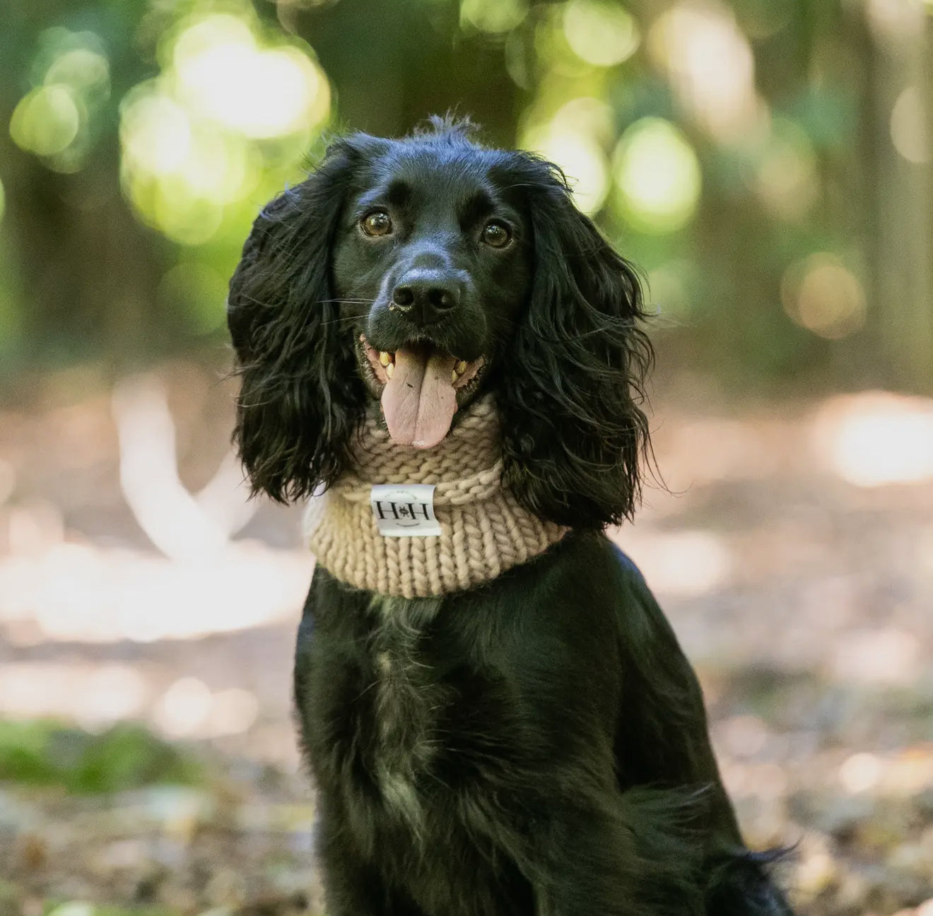 Hetty and Huxley Luxury Hand Knitted Dog Snood