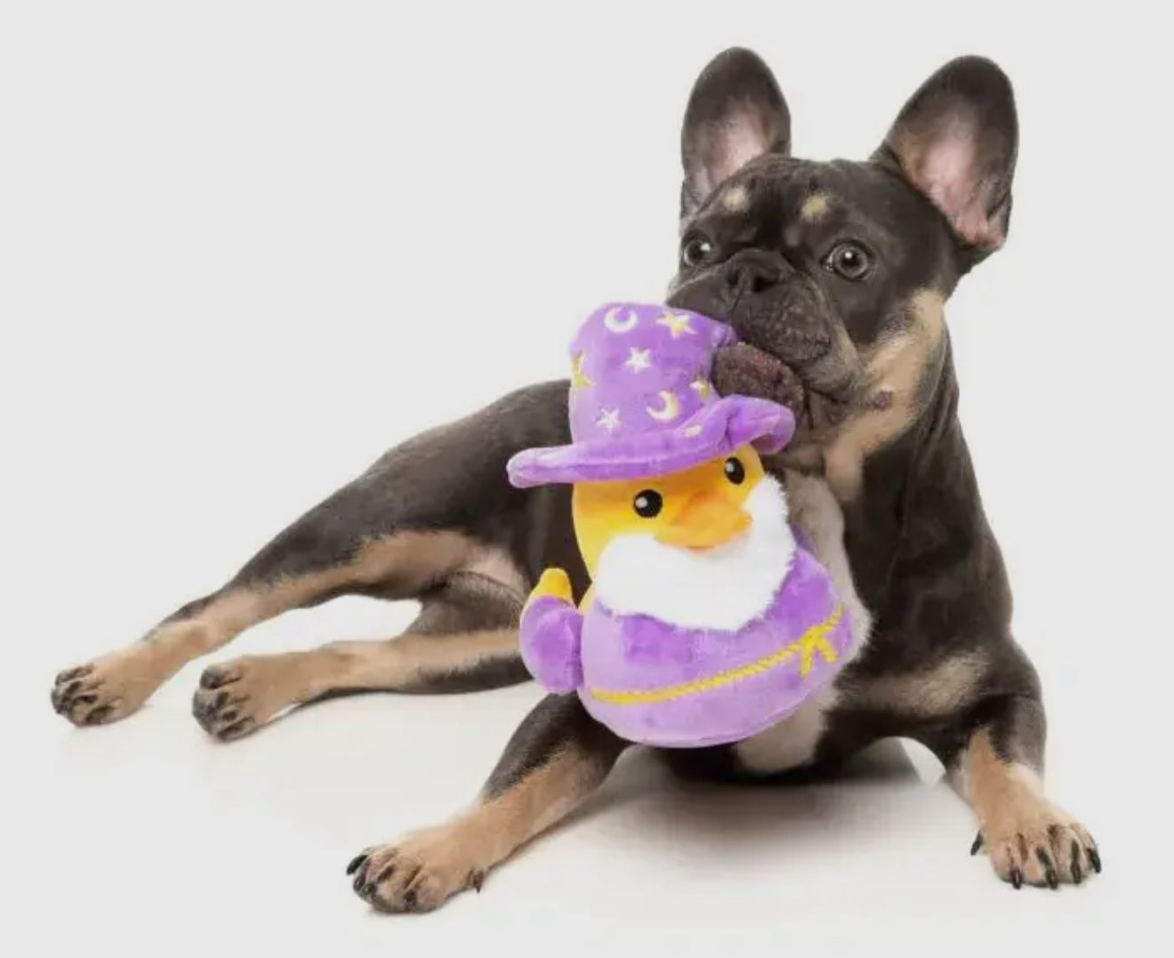 Sirius Quack - Dog Toy