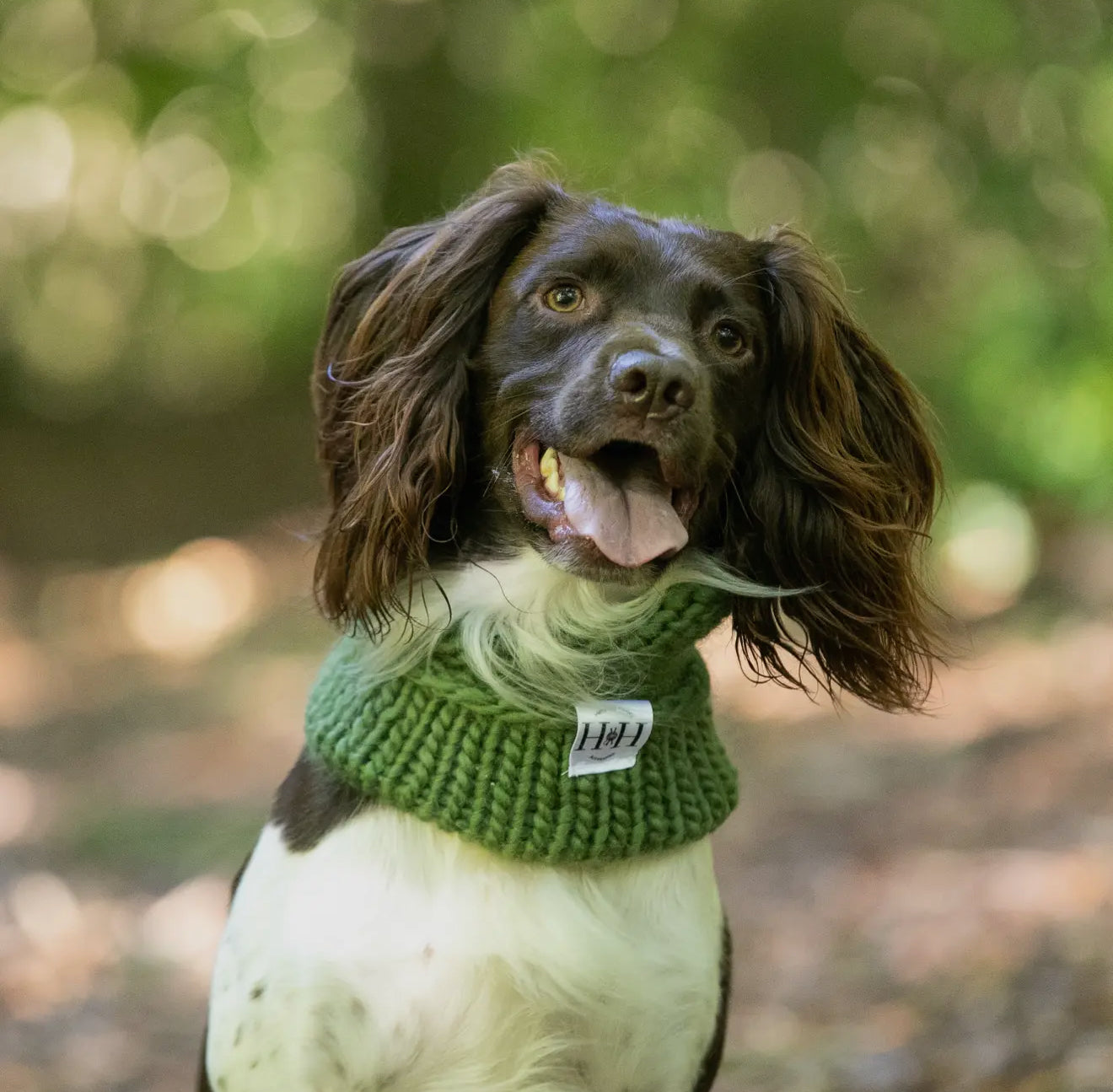 Hetty and Huxley Luxury Hand Knitted Dog Snood