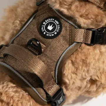 Trail & Glow Tweed Dog Harness - Oxford Tweed