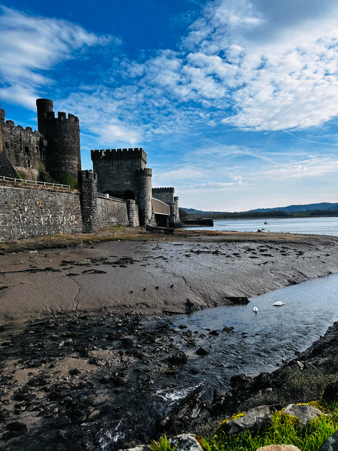 A dog friendly guide to Conwy!