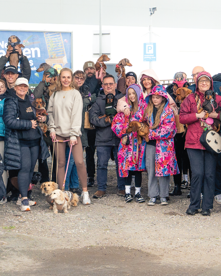 🐾 Oh My Dog! Sausage Dog Social Walk + What’s On in Conwy This Spring 🐾
