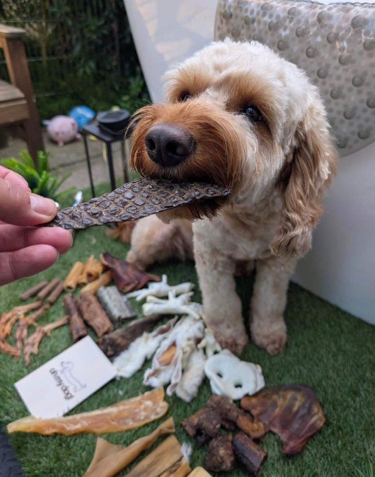 Natural Treats