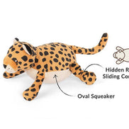 Big Five of Africa - Leopard