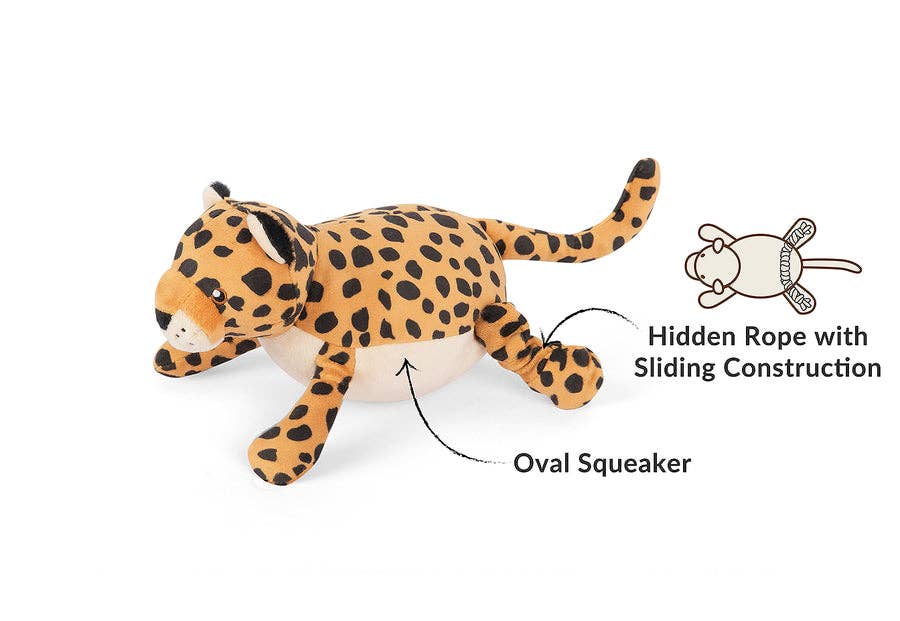 Big Five of Africa - Leopard