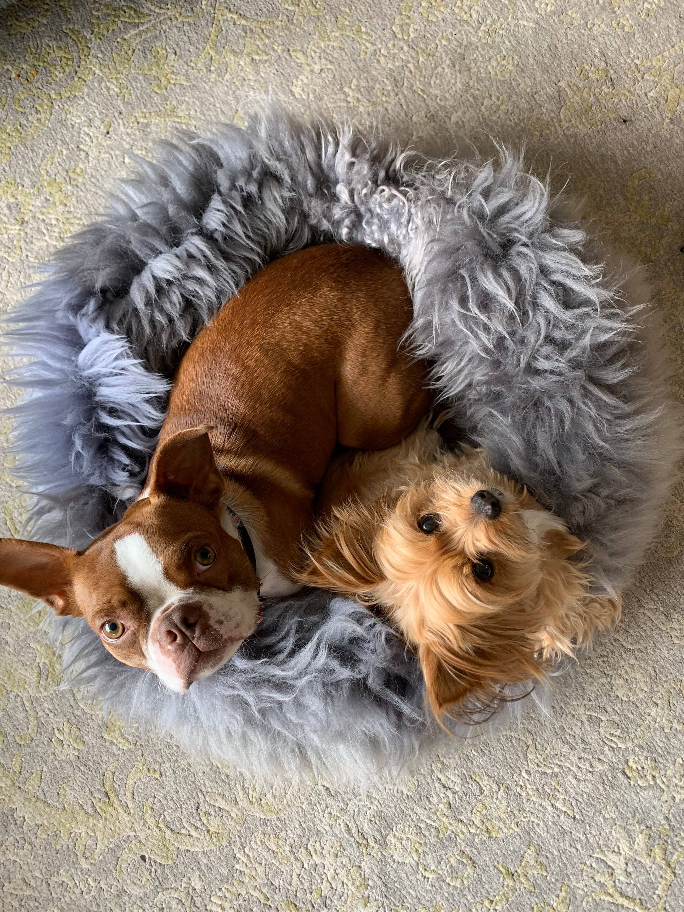 Grey Sheepskin Pet Bed: 40cm