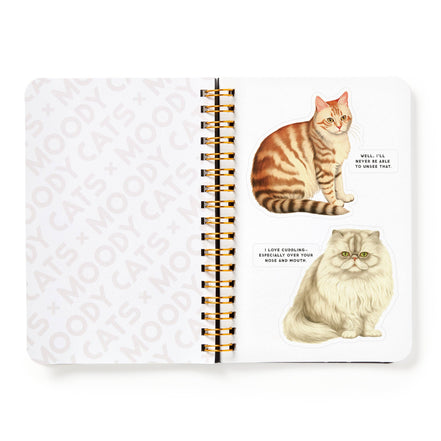 Moody Cats Sticker Book (Sticker Book or Pack)