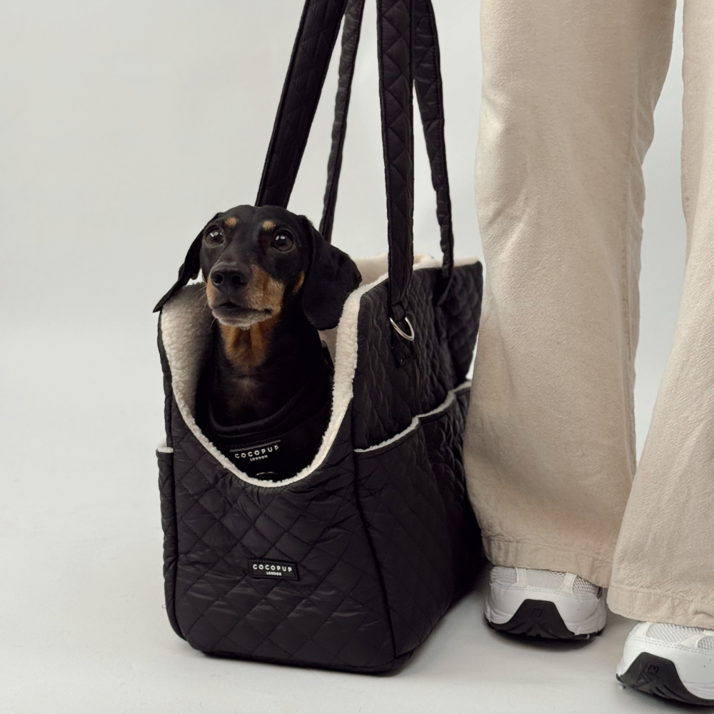 Dog Carrier - Quilted Black