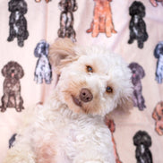 The Oodles & Doodles Dog Blanket