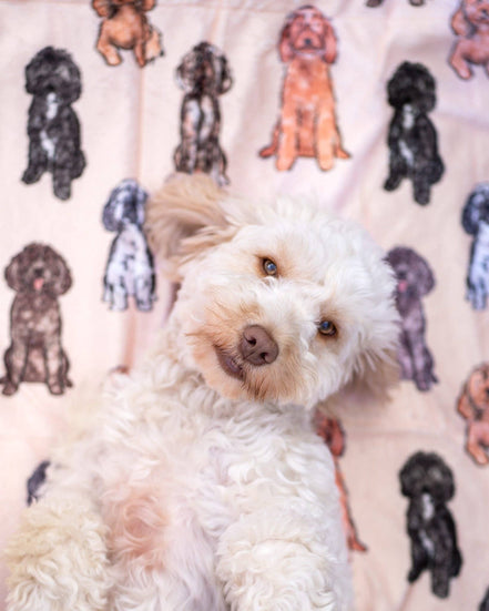 The Oodles & Doodles Dog Blanket