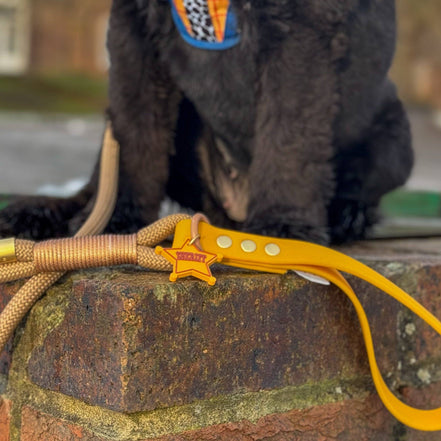 Disney© 4ft Rope Lead - Woody