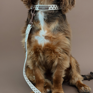 Tiramisu Polka Dot COLLAR: L