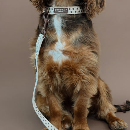 Tiramisu Polka Dot COLLAR: M