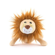 Big Five of Africa - Lion