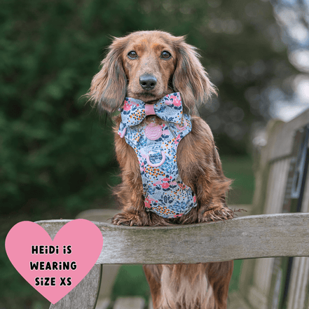 Floral Dog Harness - Colour Drops - Spring Dreams: M