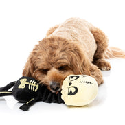 Jerry Spinefield - Dog Toys