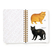 Moody Cats Sticker Book (Sticker Book or Pack)