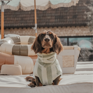 Matcha Stripe | The Cosy Cloak Drying Robe: L