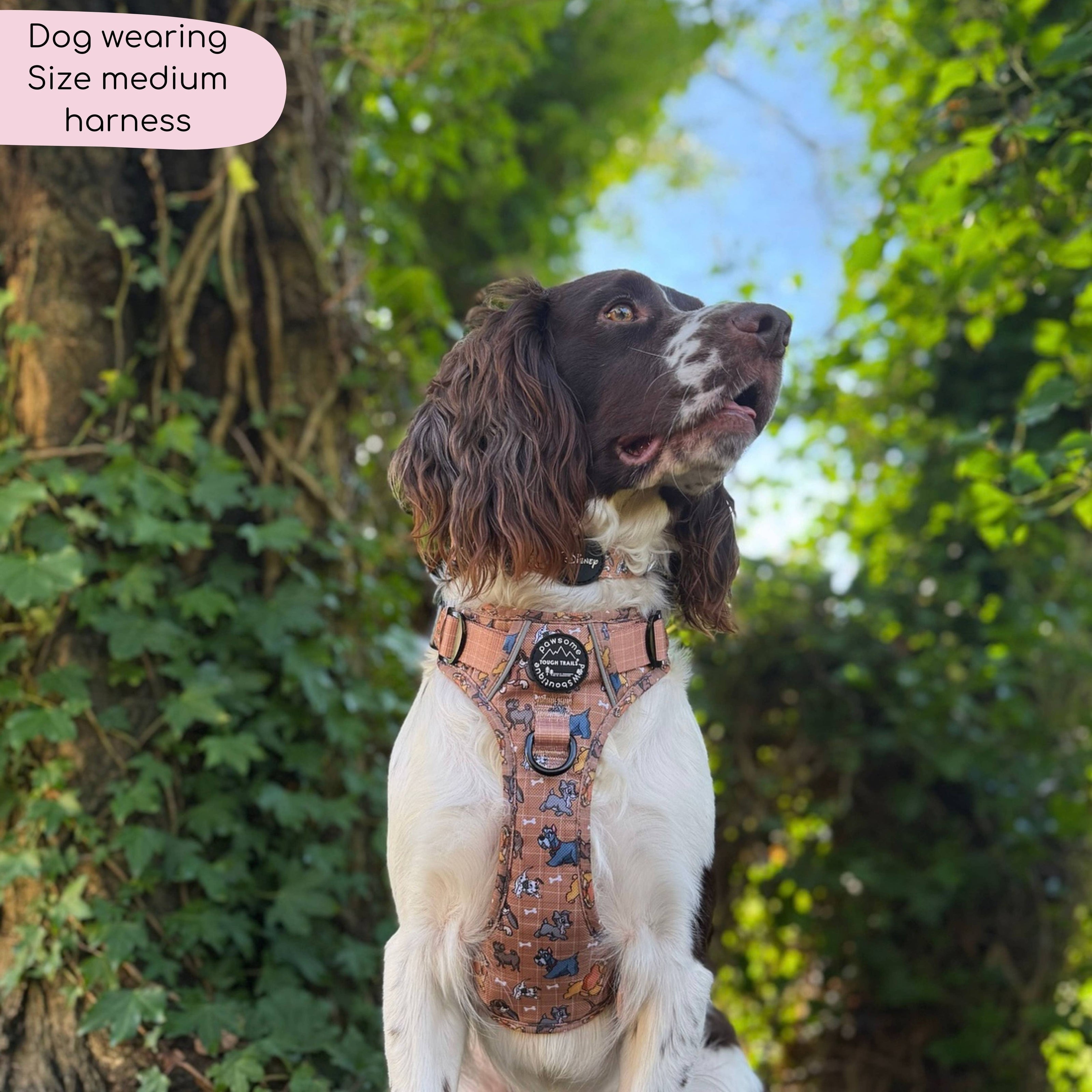 Disney© Tough Trails™ Harness - Disney Dogs: M