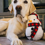 Home for Holiday - Snowman - Blizzard Buddy- Christmas - Dog Toys: Wholesale