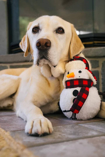 Home for Holiday - Snowman - Blizzard Buddy- Christmas - Dog Toys: Wholesale