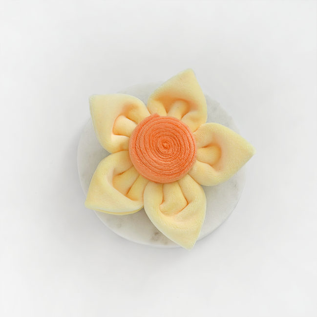 Spring Daffodil Collar Flower