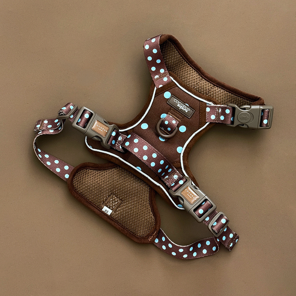 Explore Harness - Biscotti Blue: XS