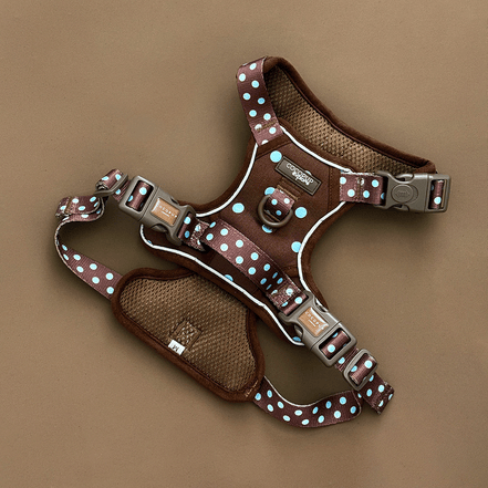 Explore Harness - Biscotti Blue: XS