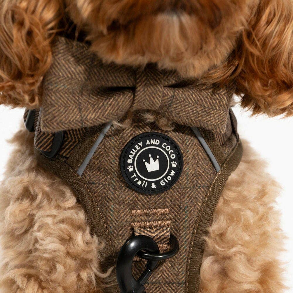 Trail & Glow Tweed Dog Harness - Oxford Tweed: XS
