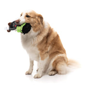 Igor Halloween  - Dog Toy