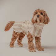 Hazelnut Stripe | The Cosy Cloak Drying Robe: S