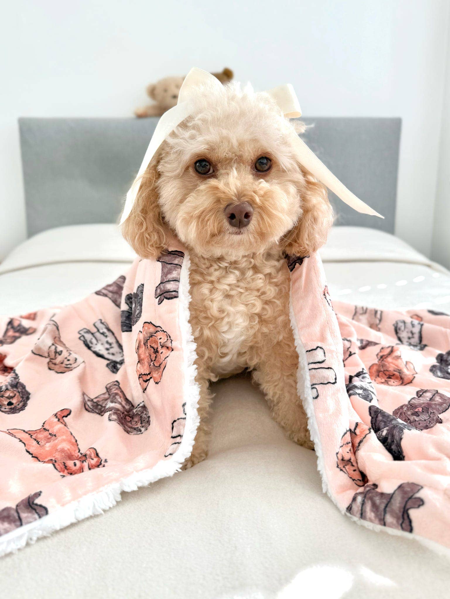 The Oodles & Doodles Dog Blanket