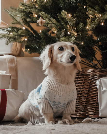 Ice Blue | Après Ski Roll Neck Knit: S/M