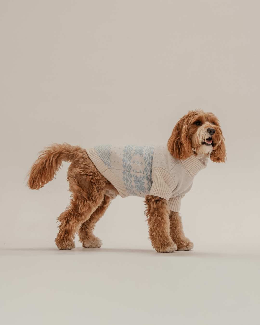 Ice Blue | Après Ski Roll Neck Knit: S/M