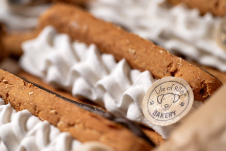Doggy Eclairs - Dog Bakery