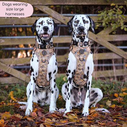 Disney© Tough Trails™ Harness - Disney Dogs: M
