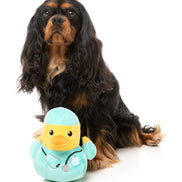 Ducktor - Dog Toy