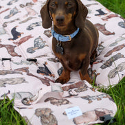 The Dachshund Travel Mat