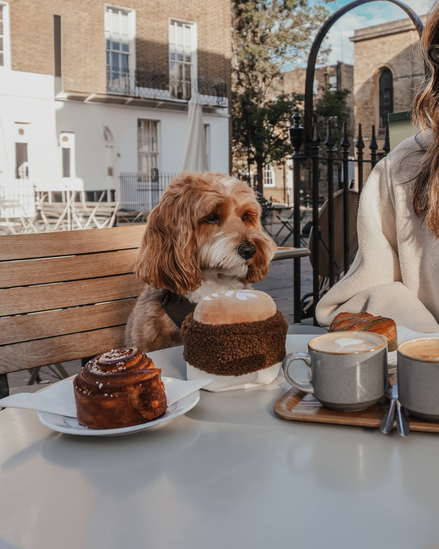 Flat White Cup Toy