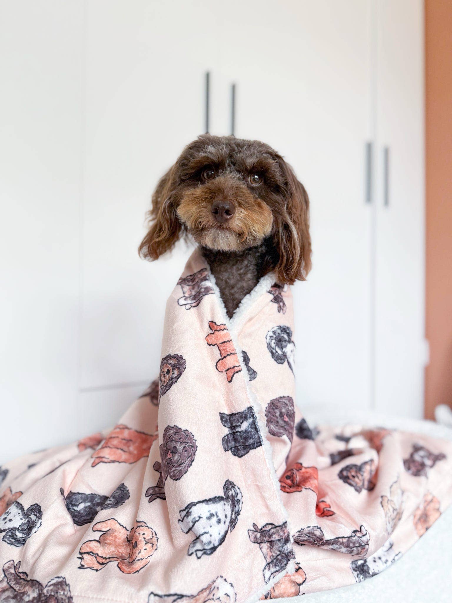 The Oodles & Doodles Dog Blanket
