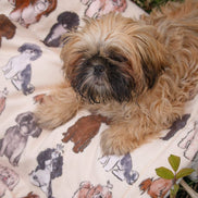 Shih Tzu Dog Blanket