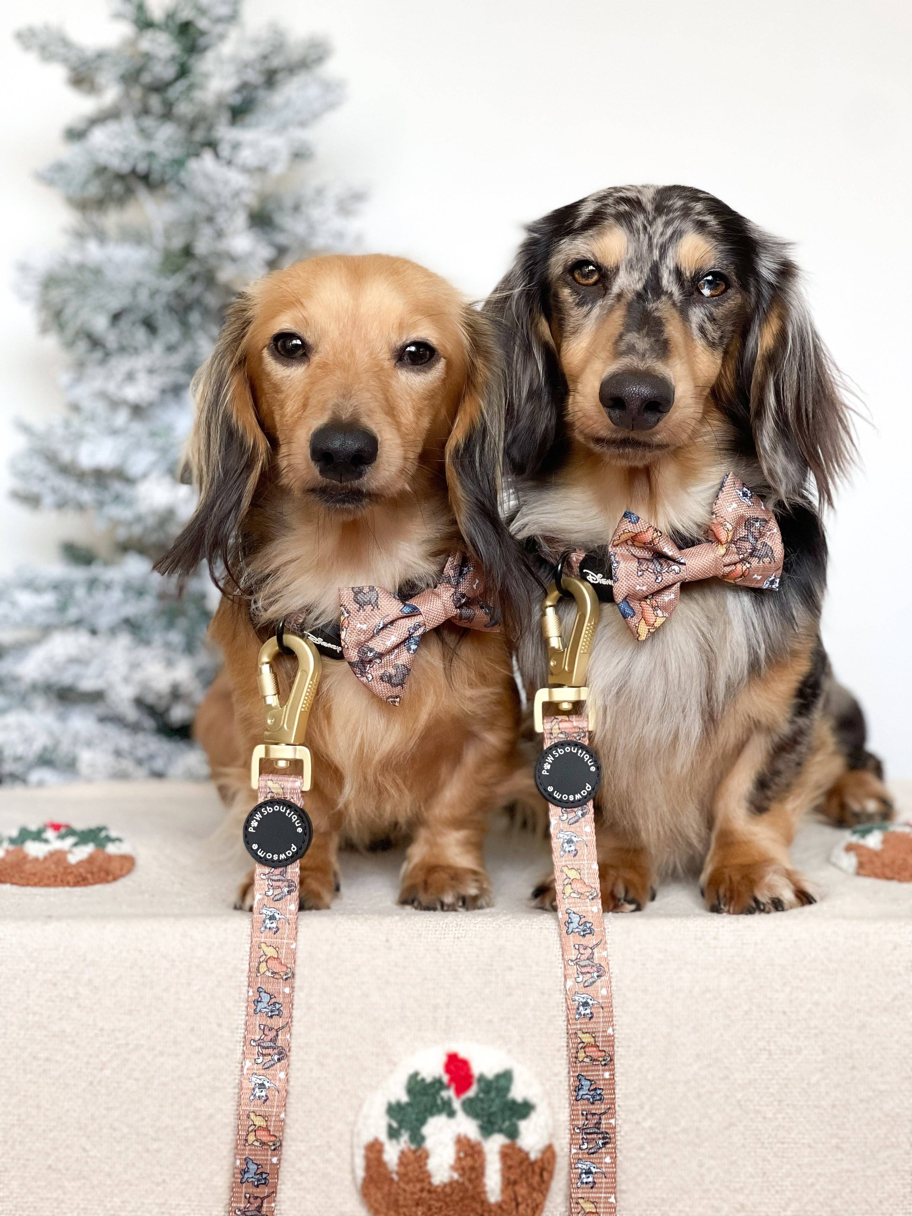 Disney© Bow Tie - Disney Dogs: Regular