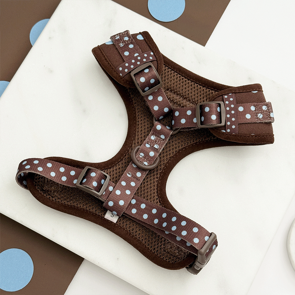 Biscotti Blue Adjustable Neck HARNESS: XS