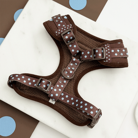 Biscotti Blue Adjustable Neck HARNESS: XS